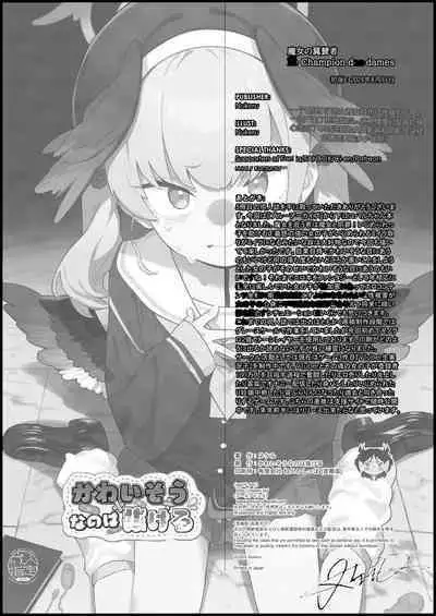 Majo no Yokusansha - Le Champion des dames | 魔女的翼替者