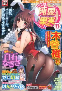 Jun-ai Kajitsu 2010-11 Vol.31 [Digital]