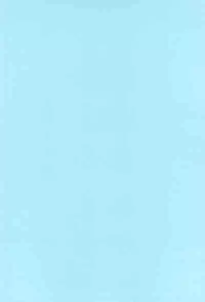 (C100) [Metacorapusu (Metacora)] Aori Joshi L-hen Sono 1 Mesugaki o Wakaraseyou to shitara Gyaku ni Wakarasareta Hanashi