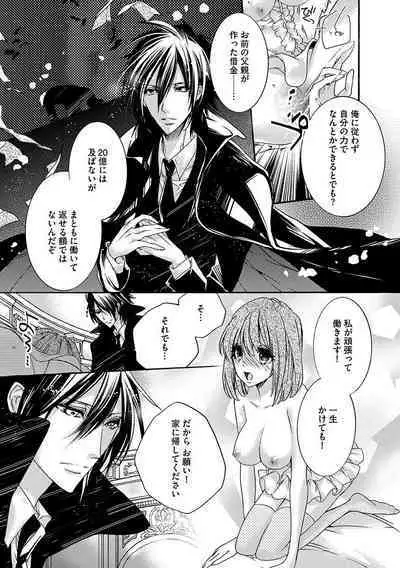 鬼畜兄弟の悶絶調教～私はいいなり奴隷～