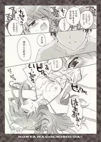 (C76) [CARNELIAN] Zenbu Morenaku Tabetsukushinasaiyo Baka Shinji (Neon Genesis Evangelion)