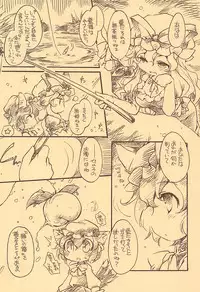 (Kouroumu 5) [Hinaprin (Ikuta Takanon)] Toriko Jikake no Orange. (Touhou Project)