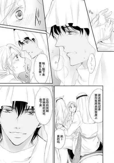 sabaku no ōji to kaizoku hime | 沙漠王子与海盗公主