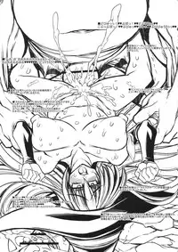 (SC52) [Kikyakudou (Karateka VALUE)] SORCERIAN (Dragon's Crown)