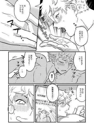 Sukide sukide shouganai