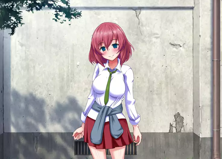 Akogare no Ano Ko ga Ore wo Kiratte Ita node Sennou Shite Koibito ni Shita