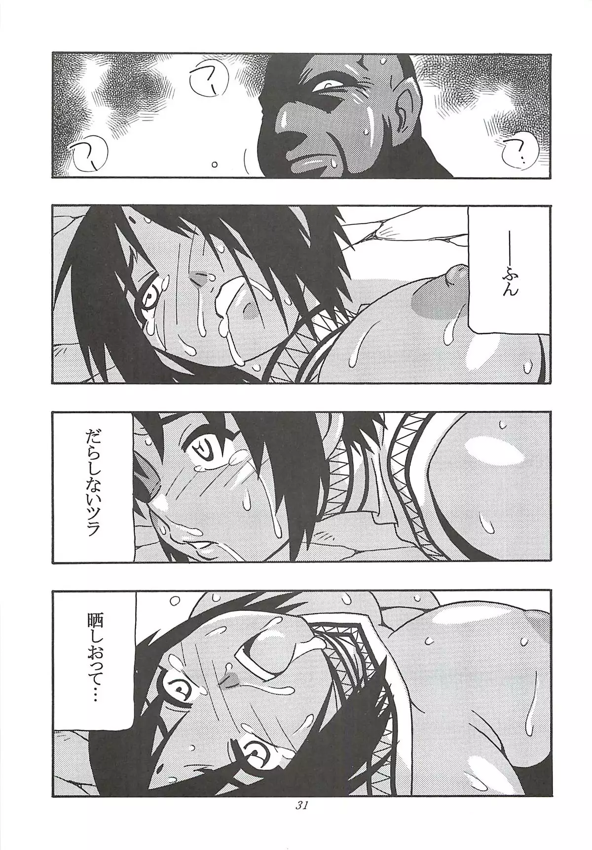 (同人誌)  CELVARG2