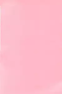 [Oreaji (Ichikawa Yayoi)] LOLLIPOP (Digimon Frontier)