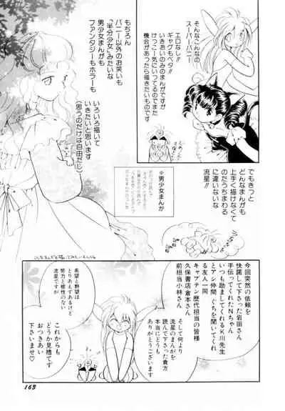 [Hikaru Nagareboshi] Seigi No Mikata Mo Raku Zya Nai