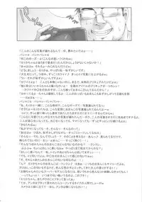 (C78) [Niku Ringo (Kakugari Kyoudai)] Tokyo Catch (Futari wa Precure)