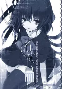 (C78) [super:nova (Yukimachi Tounosuke)] Na Mo Naki Tori - The bird without name in forest of grief. (Touhou Project)