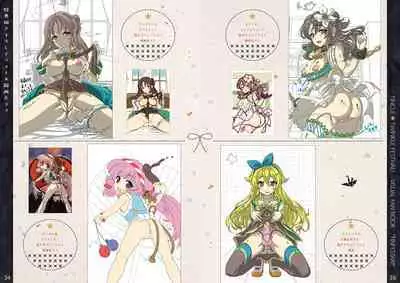 Tincle Twinkle Festival! Visual fan book "TINFESTAR!!"