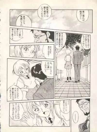 Shin Bishoujo Shoukougun 4 Houou hen