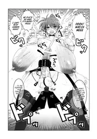 (C77) [HGH (HG Chagawa)] Pleated Gunner #20 Senshi no Himegoto (Part 2) (Mahou Shoujo Lyrical Nanoha) [English][_ragdoll]