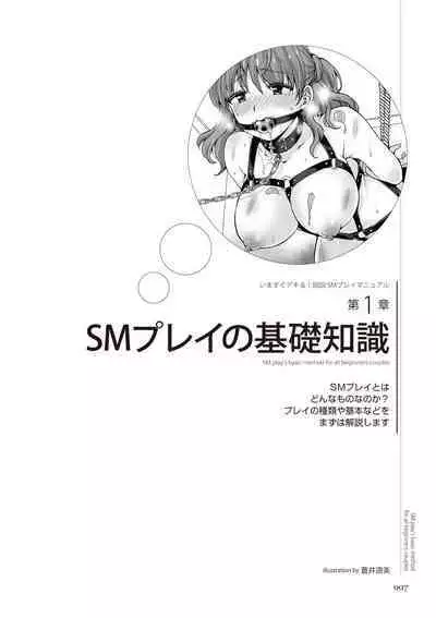 いますぐデキる 図説SMプレイマニュアル
