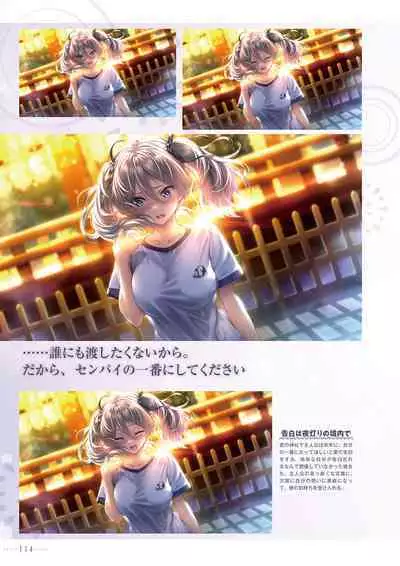 Amakano 2+ Visual Fan Book