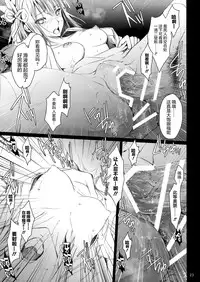 (C90) [UDON-YA (Kizuki Aruchu, ZAN)] Monhan no Erohon 15 (Monster Hunter) [Chinese] [屏幕髒了漢化]