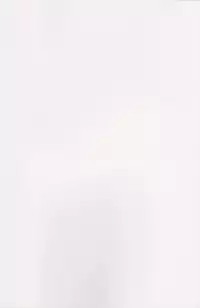 (SC49) [Kamikadou (Ginyou Haru)] Koumakan Harem Route (Touhou Project)