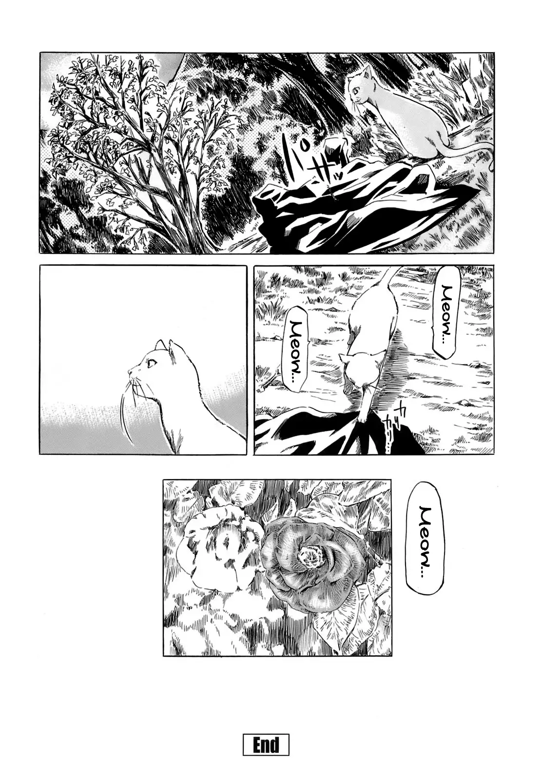 Kimi no Sukina Onnanoko no Katachi | Shape of Your Favorite Girl