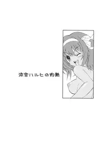 (C76) [GUST (Harukaze Soyogu)] Suzumiya Haruhi no Shakunetsu (The Melancholy of Haruhi Suzumiya) [English] {doujin-moe.us}