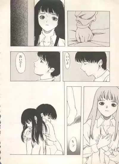 Shin Bishoujo Shoukougun 4 Houou hen