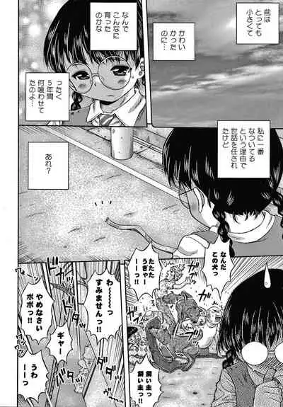 [Haku] Bishoujo Koushuu Nikubenki