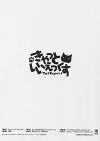 (COMIC1☆9) [Cat Expert (Nekousa)] Himo to Chen to Watashi. (Touhou Project)