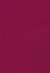 (C77) [Kawaraya Honpo (Kawaraya A-ta)] Hana - Maki no Juukyuu - Kuroki Hana (Bayonetta​, Street Fighter, Darkstalkers)