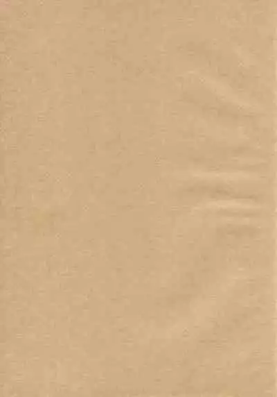 Are the rumors true that the Bass Vocals and Drums of that Popular Band are Futanari!?