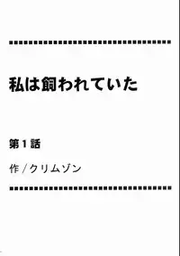 [Crimson Comics (Carmine)] Watashi wa Kaware te i ta | I Was Kept (Final Fantasy XIII) [English] {doujin-moe.us}