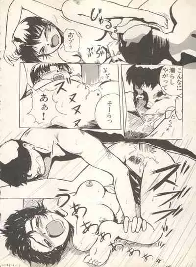 Shin Bishoujo Shoukougun 4 Houou hen