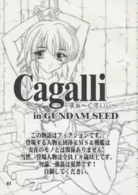 [Studio Q (Natsuka Q-Ya)] Cagalli Mark Three | Cagalli Ma Ku Suri (Gundam Seed)