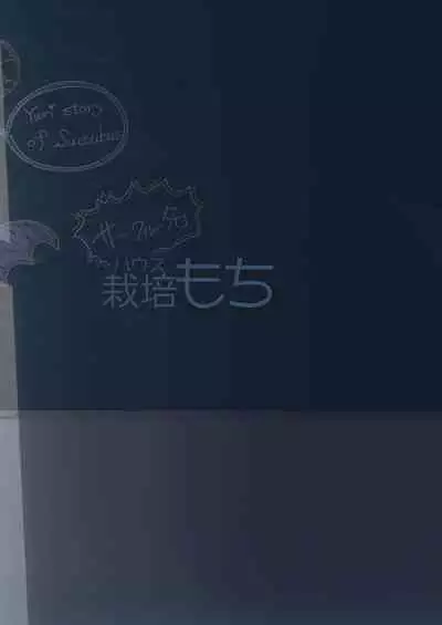 Succubus no Yuri na Hanashi | 魅魔之间的百合故事