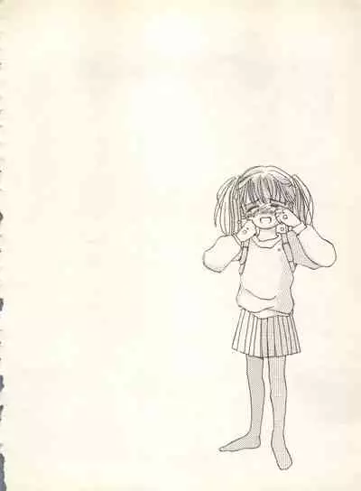 Shin Bishoujo Shoukougun 4 Houou hen