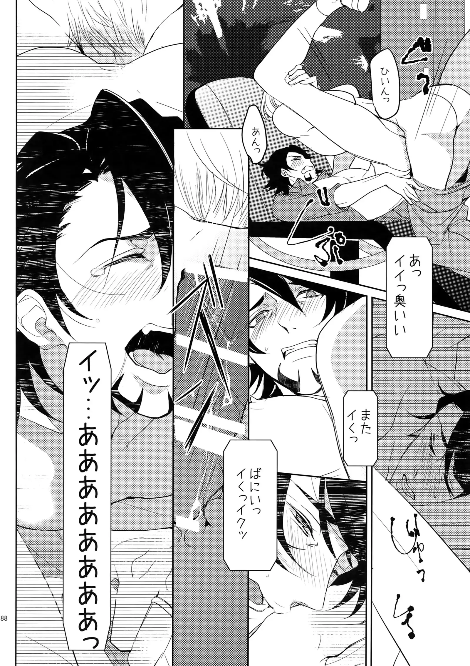 BOROZS Usagi Tora Sairoku