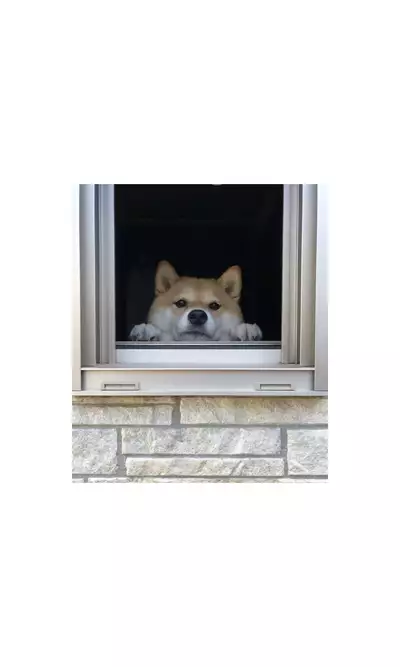 Konna Osananajimi ga Ite hoshii | 想要这样的青梅竹马