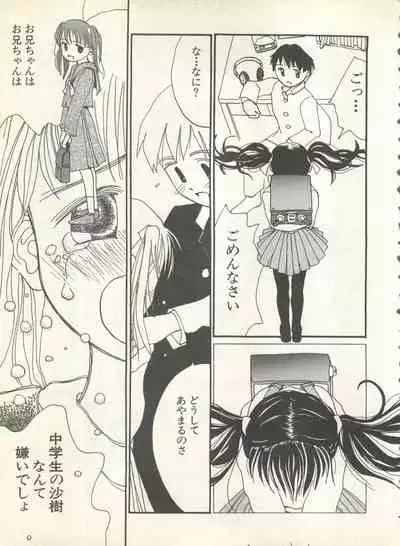 Shin Bishoujo Shoukougun 4 Houou hen