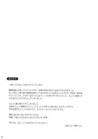 (Reitaisai 3) [Pixel Cot. (Habara Meguru)] Fuujin Shoujo A (Touhou Project)