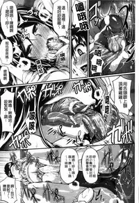 [Fue] フェラピュア[chinese]