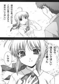 (C66) [Studio Wallaby (Takana Yu-ki)] Secret file next 10 - I feel my Fate (Fate/stay night)