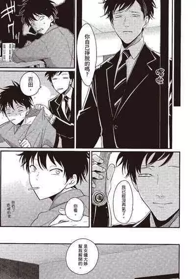 Yatamomo 1 | 八田百田 1