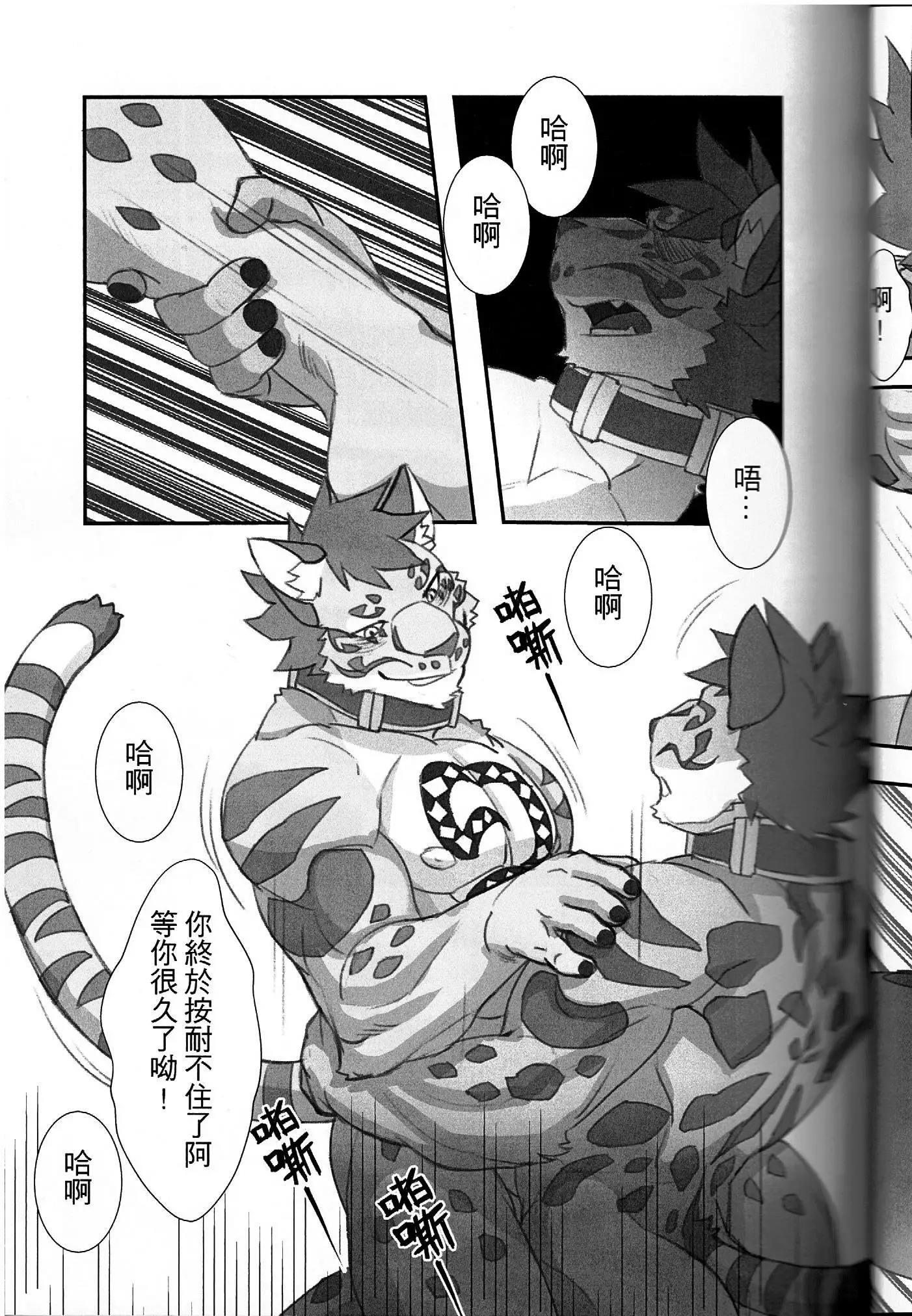 漫畫《家有大貓-Before the Story》