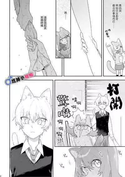 [pink carrot (usachanGET)] ♂ ga Uke. Neko-chan x Neko-kun | 吃掉小公貓。小貓咪X貓同學 [Chinese] [橄榄汉化组]