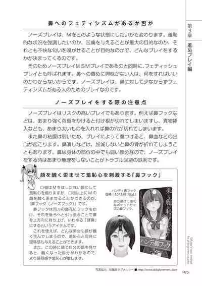 いますぐデキる 図説SMプレイマニュアル