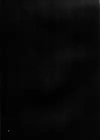 (C81) [Sansai Ichiba (Gotou Shake)] Seika no Kieru Hi (Mabinogi)