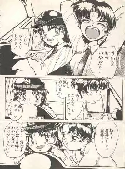 Shin Bishoujo Shoukougun 4 Houou hen