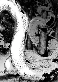 [Jyoka] Igyou Kaikitan "Kankandara" | Wonderfully Grotesque Mystery - Kankandara (COMIC Saija 2015-07 Vol. 1) [Chinese] [不觉晓个人汉化]