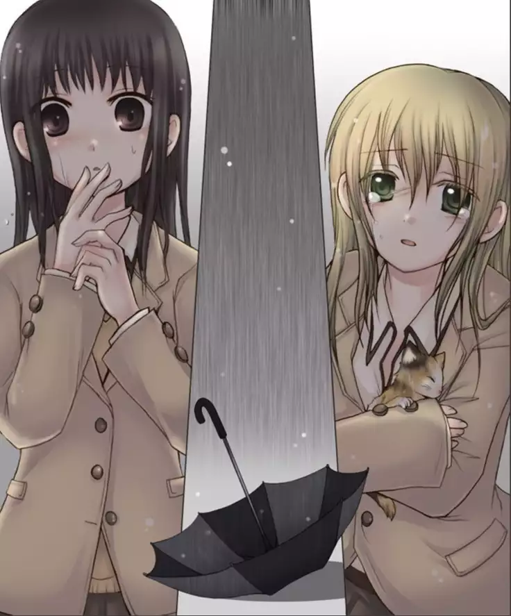 Okashi Assorted Packs - Unscented Taste