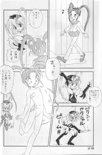 (C55) [Marukane Teikoku (AIM, Yuuki Misa)] TWINTAIL PROJECT (Mahou Shoujo Pretty Sammy, Martian Successor Nadesico)