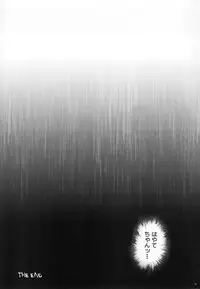 (C79) [Cyclone (Izumi, Reizei)] F850X2 (Mahou Shoujo Lyrical Nanoha)